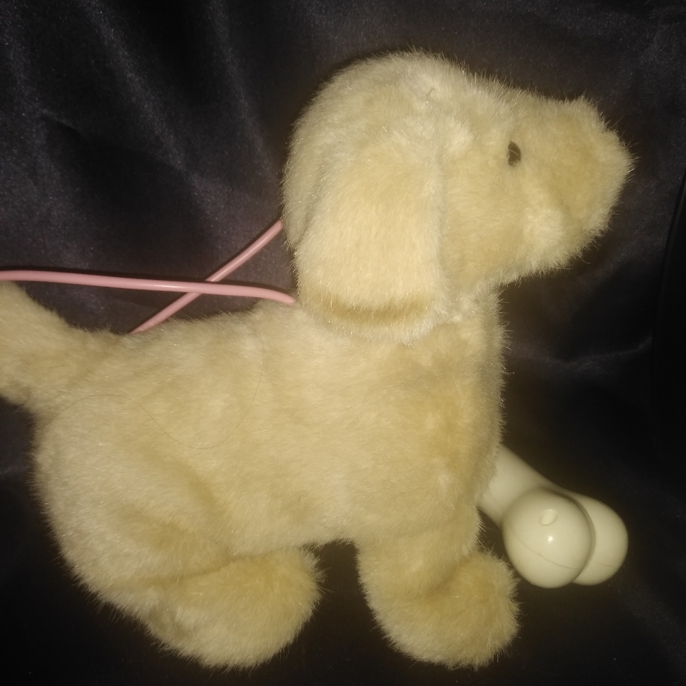 Puppy is battery operated .does tricks.